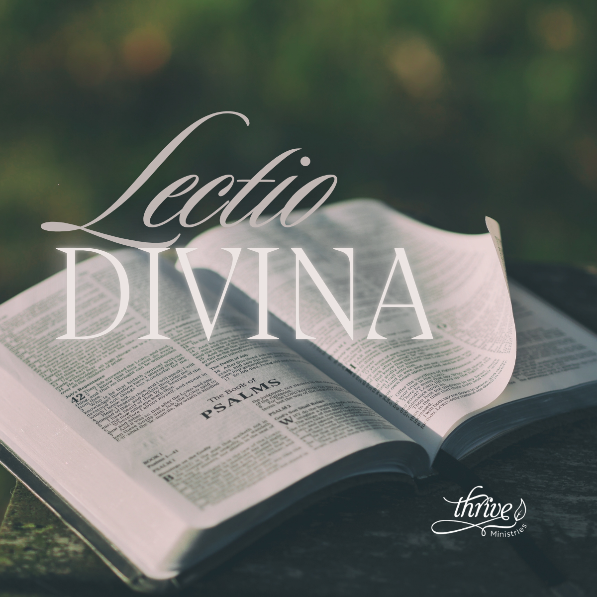 Lectio Divina