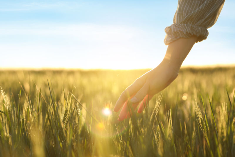 God-Given Core Longings &amp; Needs